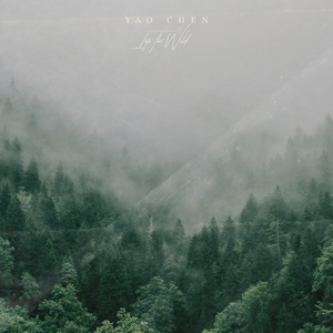 中文字幕在线入口
